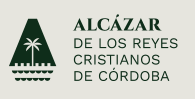 Captura de pantalla 2024-08-16 112247